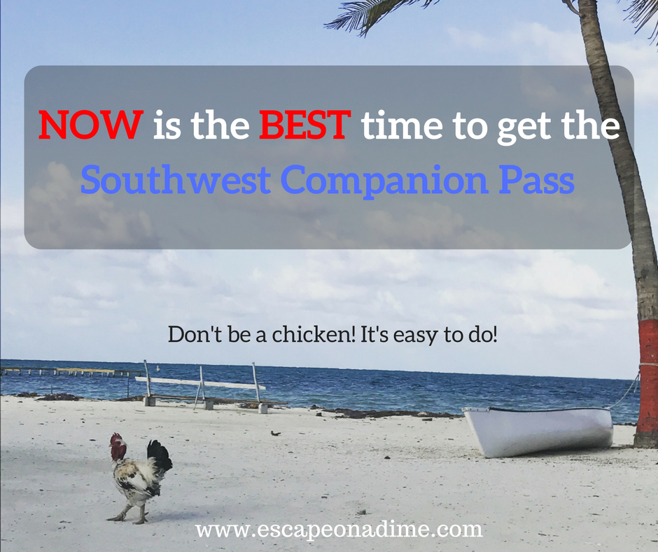 Now is The Absolute Best Time to Get the Southwest Companion Pass